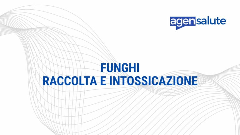 Funghi: raccolta, controllo e intossicazione, la guida di AgenSalute